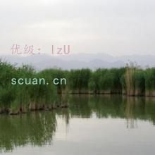 ΢